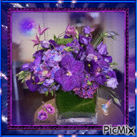 violet animowany gif