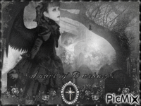 angel of darkness mana-sama 动画 GIF