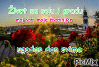 život - Ingyenes animált GIF