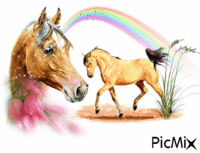 chevaux2 - Besplatni animirani GIF