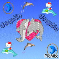 dauphins GIF animé