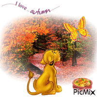 I Love The Illinois Autumn анимирани ГИФ