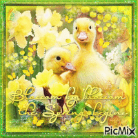 Spring duck yellow green - 無料のアニメーション GIF