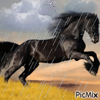 orage анимиран GIF