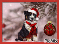 chien de Noel Animated GIF