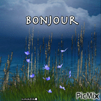 bon mercredi , animovaný GIF