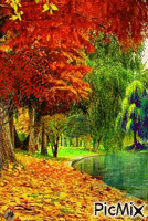 Algunos árboles junto al estanque animerad GIF