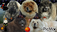 halloween team - GIF animado grátis