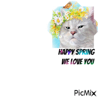 A happy spring bunny - GIF animé gratuit