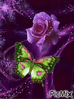 Rosa mariposa - Безплатен анимиран GIF