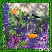 Have a nice day. Birds, butterfly, lilac, spring - GIF animasi gratis