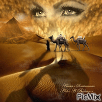 Mulher no deserto animált GIF