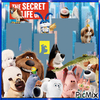 The Secret Life of Pets 动画 GIF