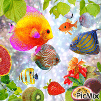fish fruit heaven GIF animé