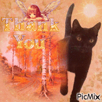holly thank you card 动画 GIF