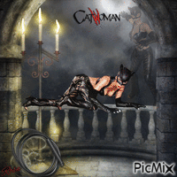 Concours : Catwoman - Gratis animeret GIF