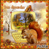 couleurs d'automne animowany gif