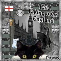 ((Cats Taking over England)) - Ilmainen animoitu GIF