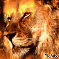 leone animasyonlu GIF