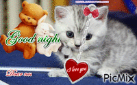 noapte buna - GIF animado gratis