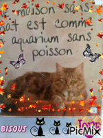 Aquarium et chat - Darmowy animowany GIF