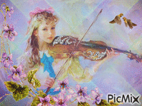 piccola violinista - Бесплатный анимированный гифка