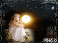 Clair de lune - Zdarma animovaný GIF