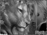 femme et lion noir et blanc - Безплатен анимиран GIF