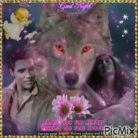 DENNIS PAGE ANGELS WOLVES INDIANS AND ELVIS GIF animé