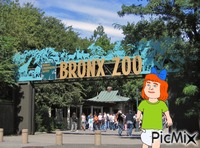 Redhead baby girl at Bronx Zoo - Бесплатный анимированный гифка