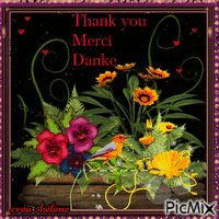 Merci _ Thank You _ Danke - Darmowy animowany GIF