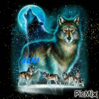 Wolf GIF animado