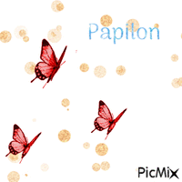 Les papilon - GIF animasi gratis