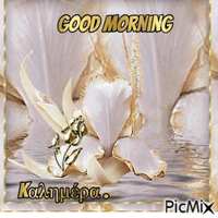 καλημερα kalimera good morning - Gratis geanimeerde GIF