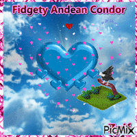 FIDGETY ANDEAN CONDOR animovaný GIF