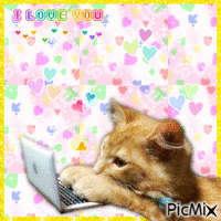 I Love You Very Meow 动画 GIF