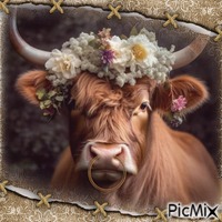 Cow or Bull-RM-04-12-24 - Free PNG
