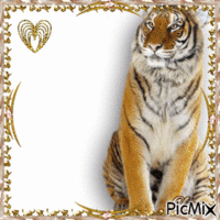 Le tigre ♥♥♥ animovaný GIF