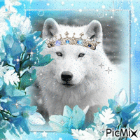 White Wolf14 - GIF animado gratis