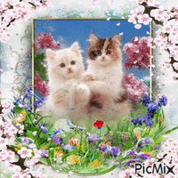 Two cats and flowers - Darmowy animowany GIF