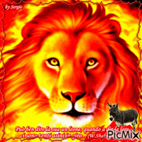 leone Animated GIF