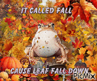 froggy fall