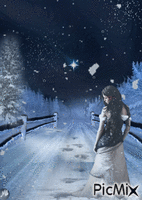 En medio de una tormenta de nieve animasyonlu GIF
