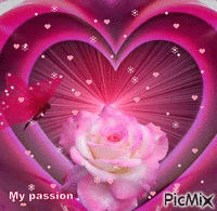 pink heart - Бесплатный анимированный гифка
