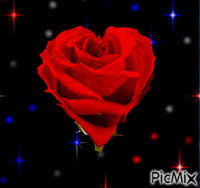 ruža-srdce - GIF animé gratuit