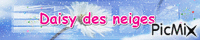 Daisy des neiges - GIF animé gratuit