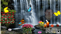 en la cascada - GIF animé gratuit