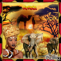 The magical atmosphere of Africa... 动画 GIF