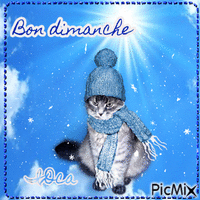 Bon dimanche les chatons - Безплатен анимиран GIF