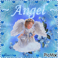 * Little Angel *